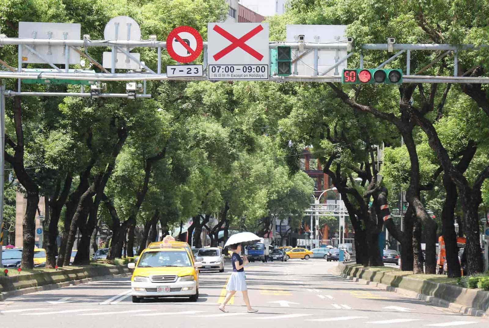 台北哪條路走起來最舒適？沈方正的不藏私散步趣