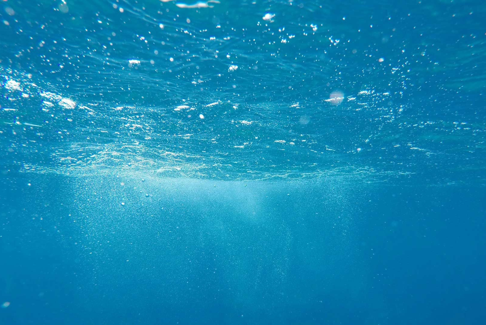「為淡水河做一件事」歷時五年的ESG永續行動，讓改變看得見