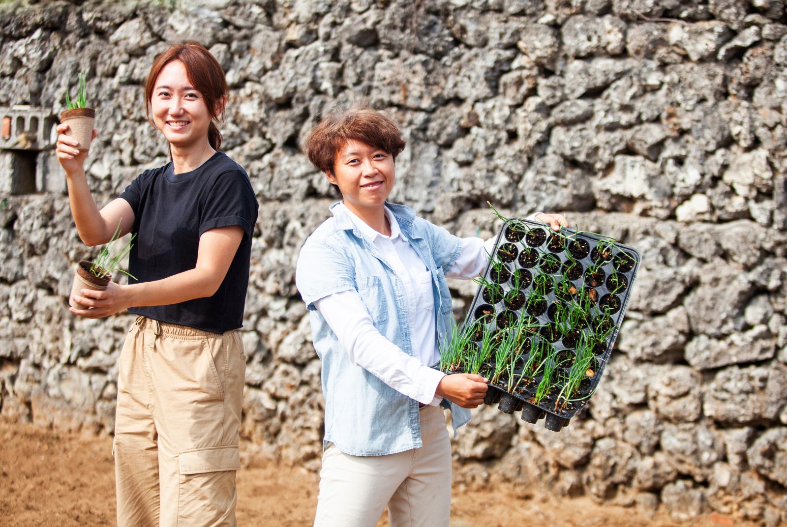 【地方創生6】不怕種出拐瓜劣棗，以澎湖菜宅翻轉海島農業新未來