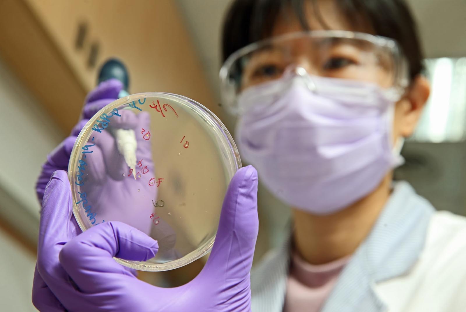 The Taiwan lab at the heart of the COVID-19 fight