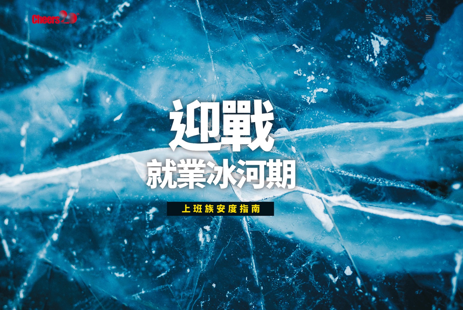每年出刊，持續關注就業市場。