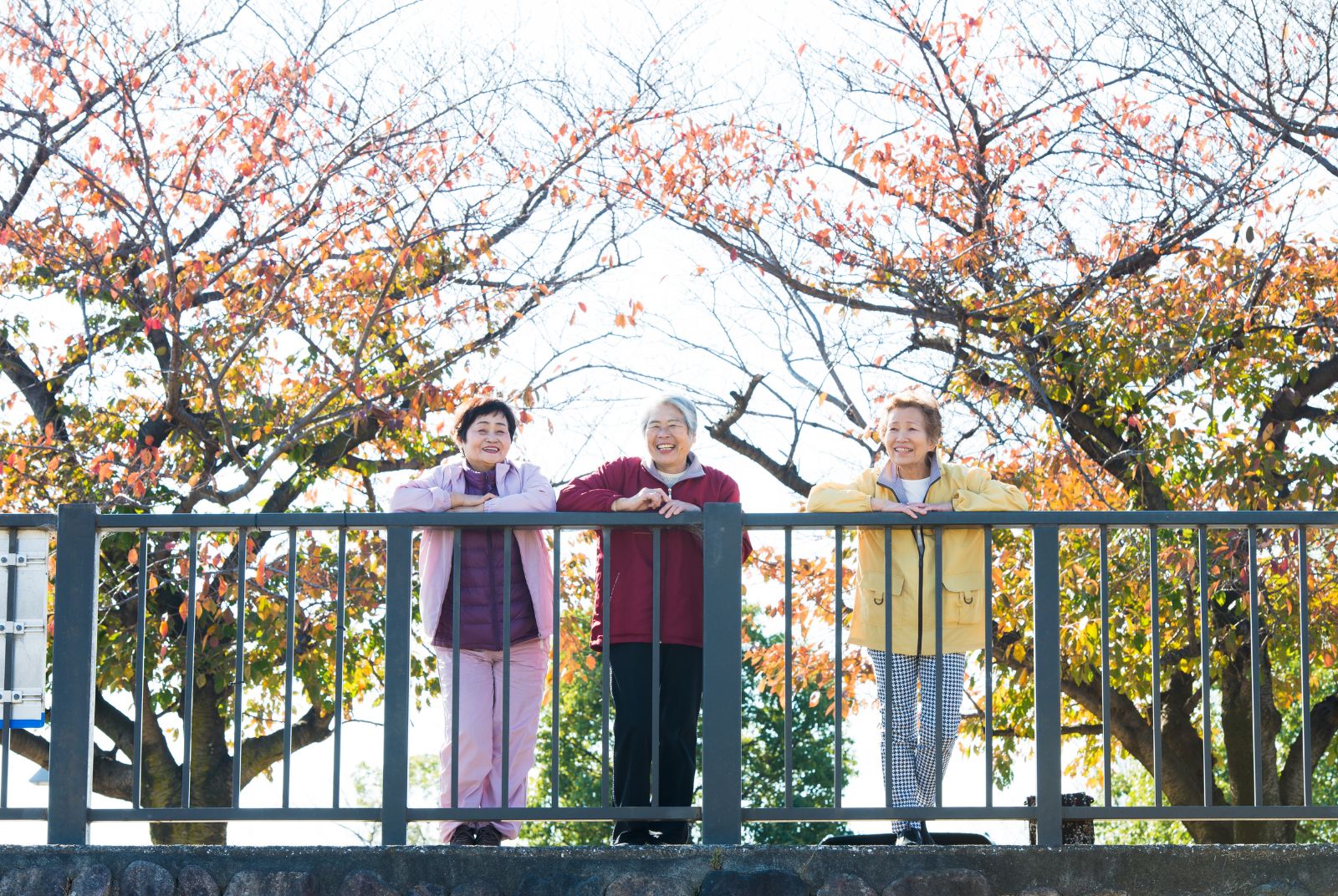 總覺得孤單無助、卻找不到原因？寫給銀髮族和中年子女的心靈解方