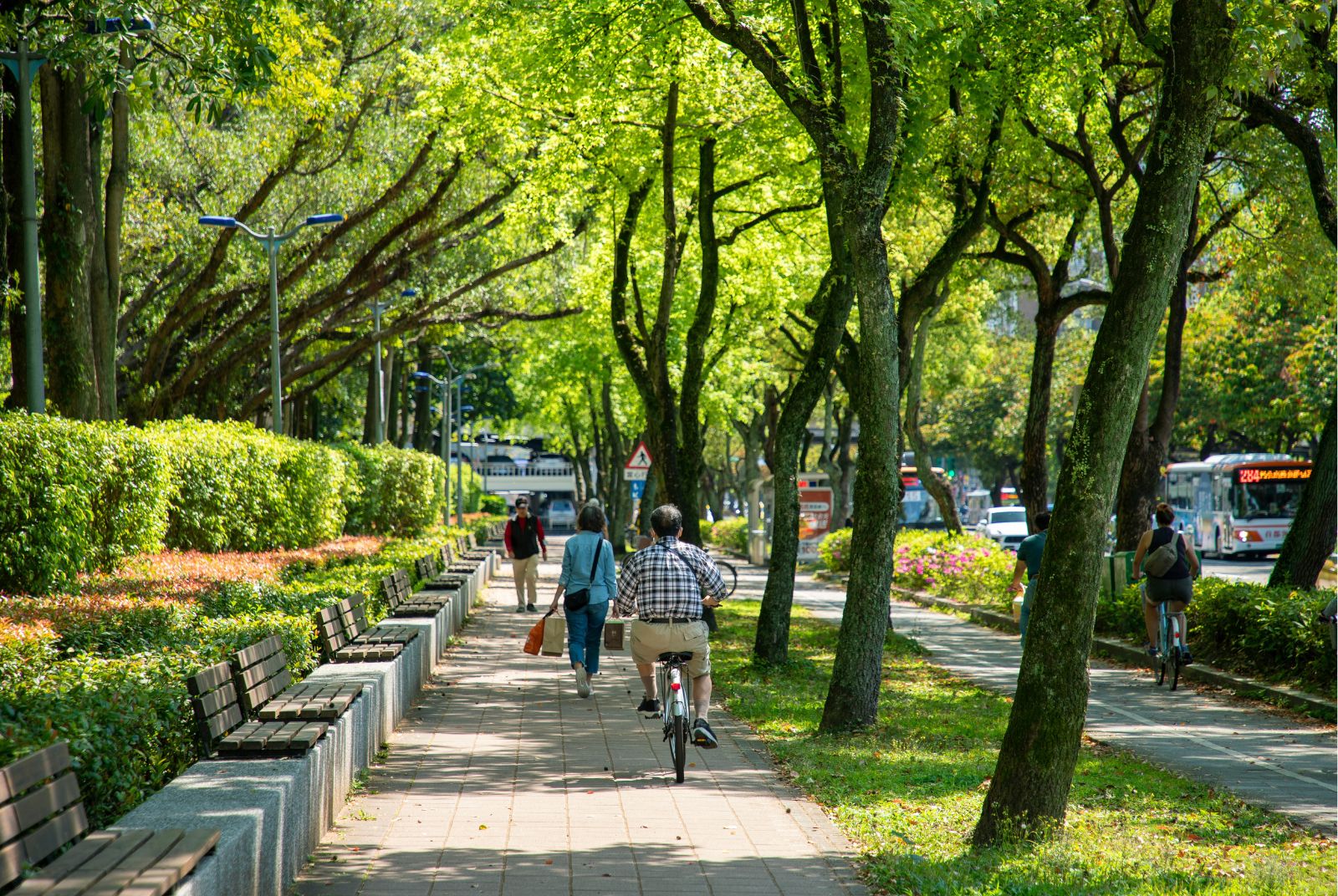 2026慢老城市調查完整指標下載