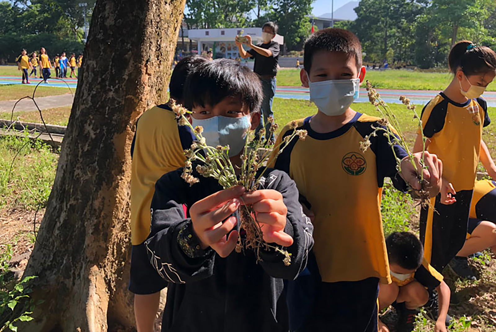 [ 玉山示範教案 ] 嘉義縣竹崎國民小學：咱的家鄉 竹崎大探索