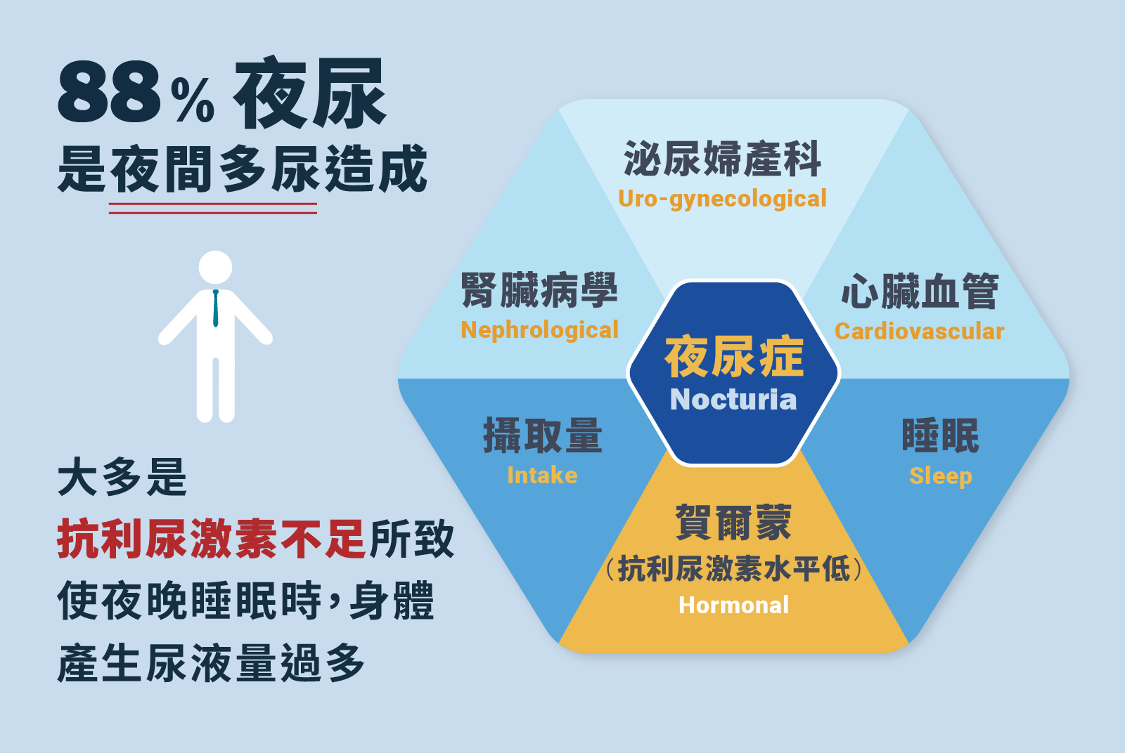 88&夜尿是夜間多尿造成