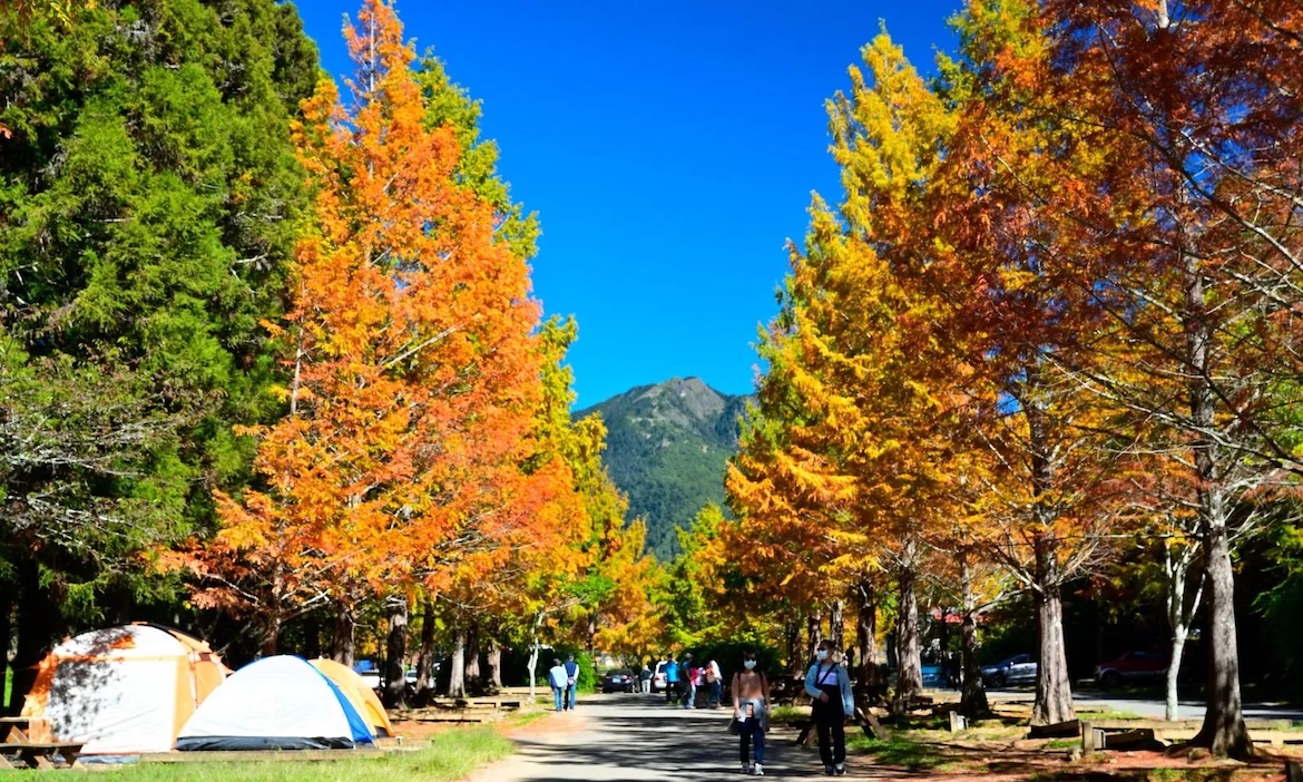 武陵農場｜在雲海與楓紅之間，走進高山永續生態樂園