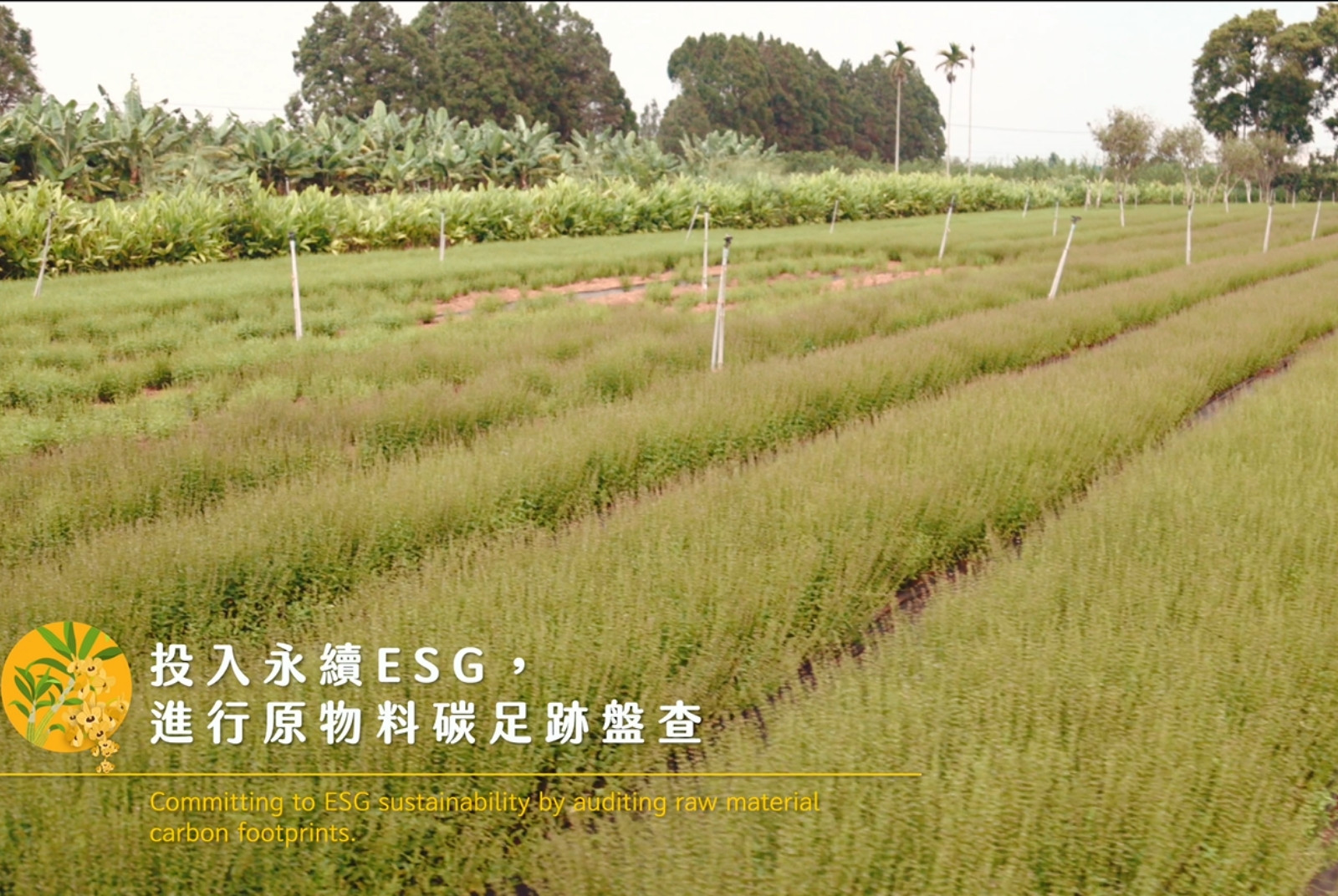 投入永續ESG，進行原物料碳足跡盤查。