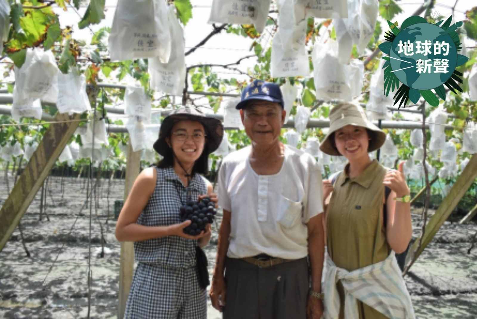 農廢變黑金　朝陽科大研發炭化爐，讓農民邊燒葡萄藤邊烤肉還減碳！