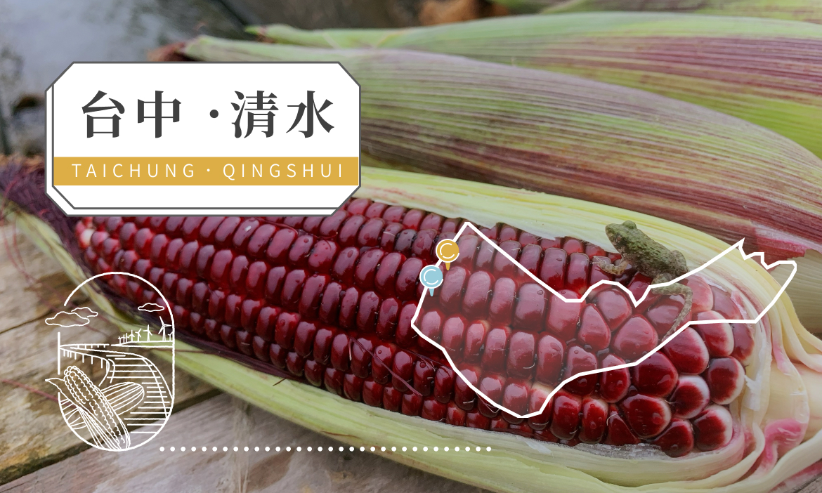 台中．清水