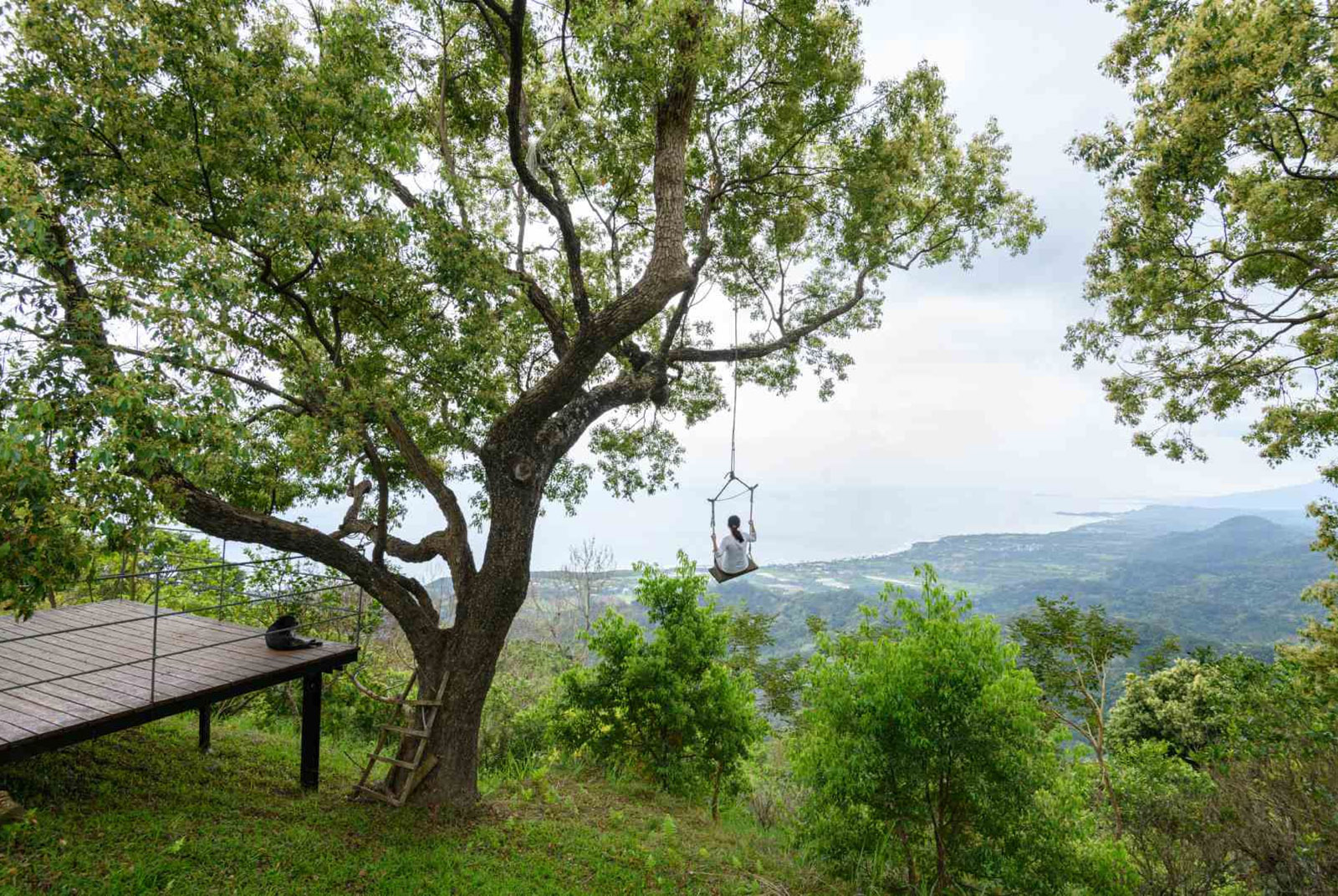 種樹三萬養育秘境，竹湖山居邀你一起看山嵐、聽鳥叫、玩高空鞦韆