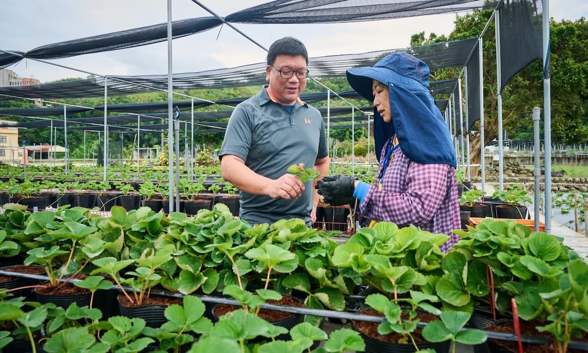 從田間到家中，植物診療師讓人人都能放心種植