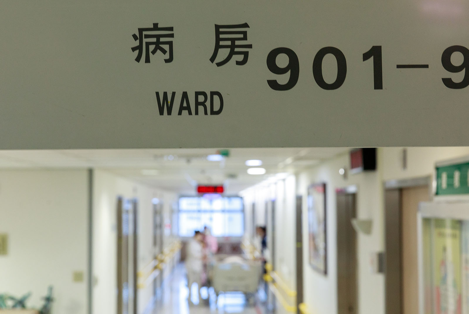實支實付險風暴》癌症標靶藥物難賠、30歲女性保費暴增
