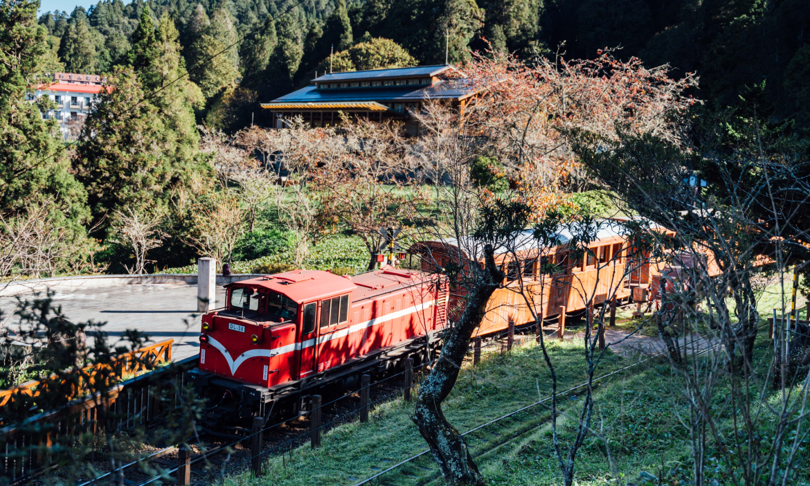 阿里山林鐵▶《紐時》2025全球必訪景點之一！乘小火車回望在地文史