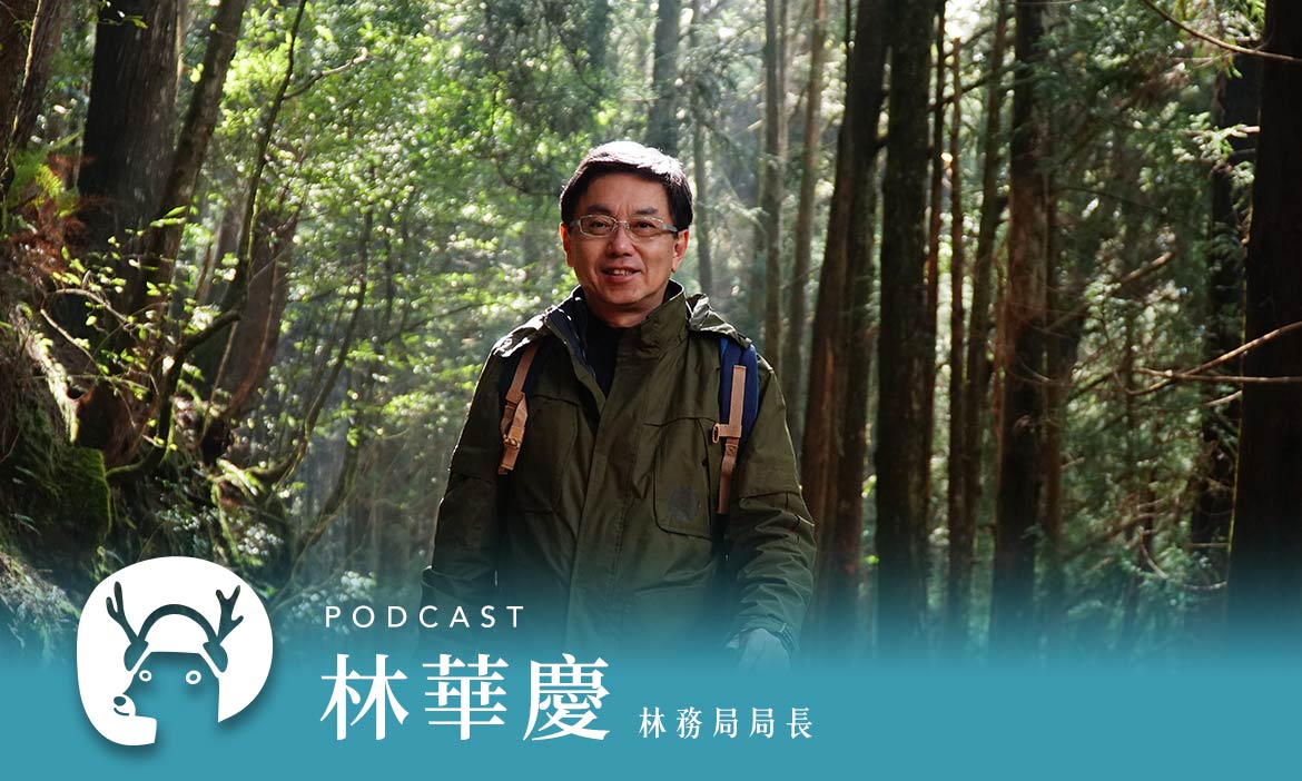 苔蘚像地毯一樣厚軟　走入全台灣最安靜的步道，讓森林療癒你