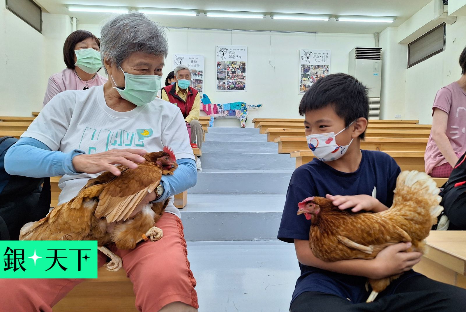 阿公阿嬤的「毛孩」心事誰人知？長照新課題：當寵物成為重要家人