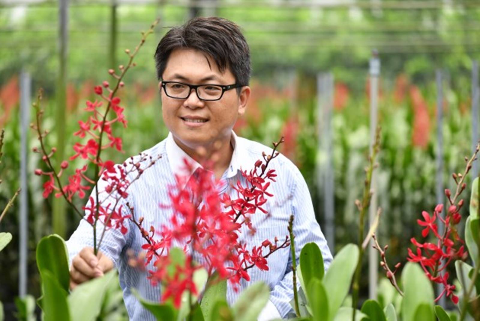 一熱，花就爛！台灣蘭花如何抗熱？