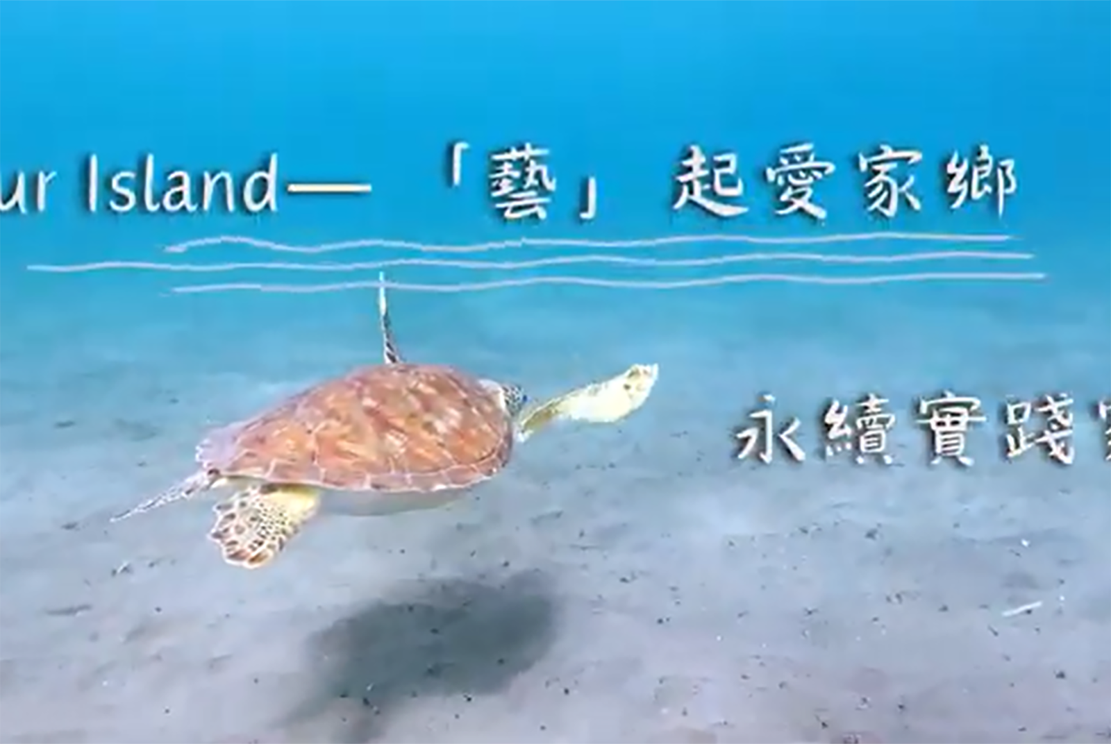 Our Island-「藝」起愛家鄉