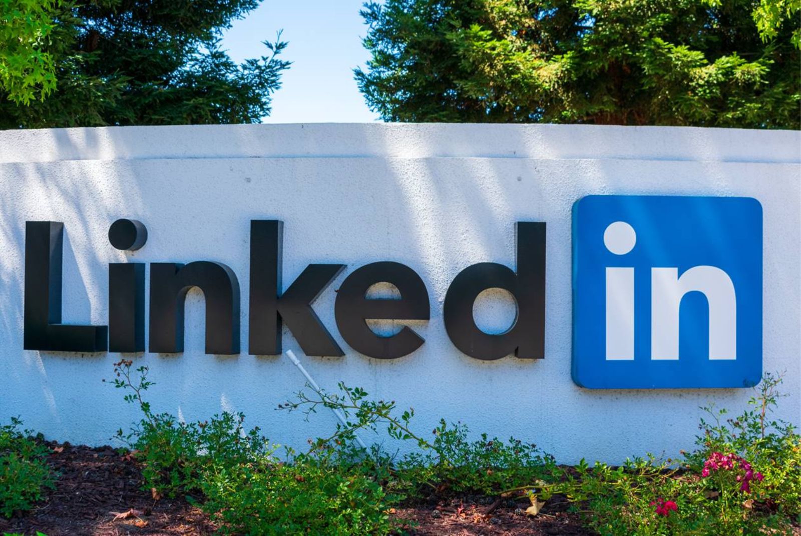 怎麼經營LinkedIn？