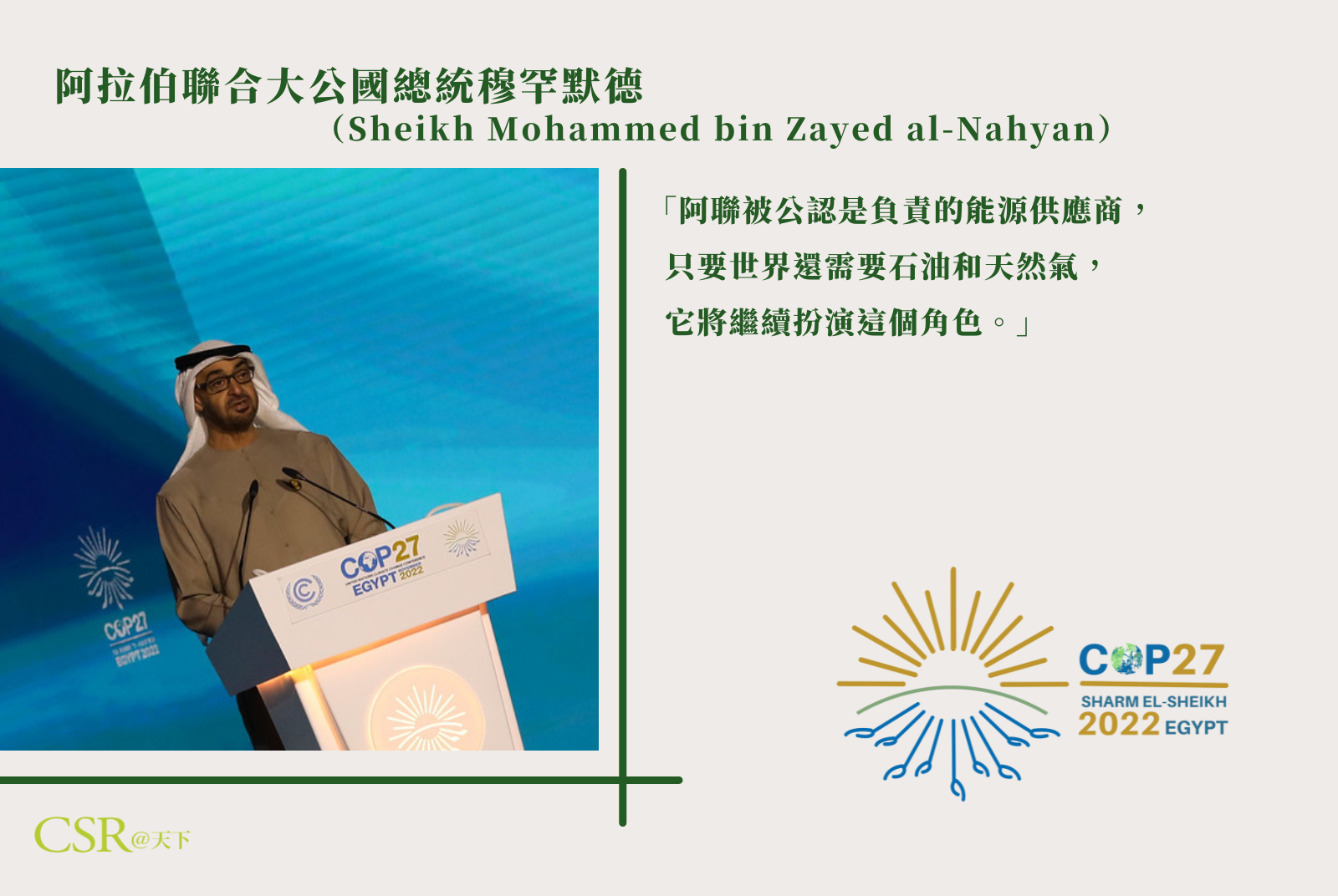 阿拉伯聯合大公國總統穆罕默德