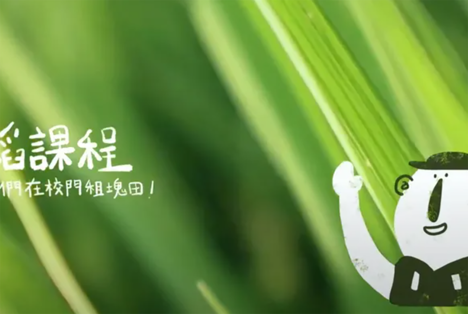 掌生穀粒